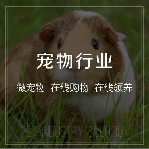 阿里宠物